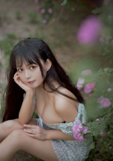 pr九妖狐狸