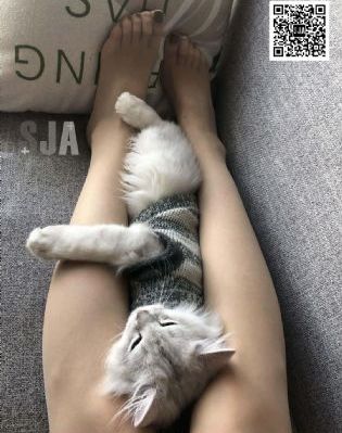 免费在线观看动漫